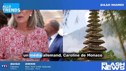 Le mystère de Caroline de Monaco : Une liaison secrète avec Vincent Bollore ?