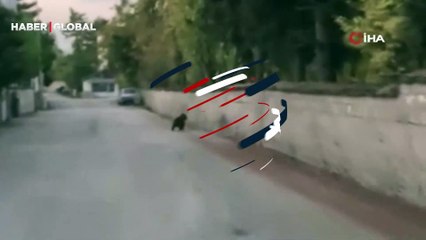 Cep telefonuna yansıdı: Ayı ve yavrusu Safranbolu’da şehre indi