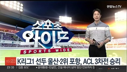 K리그1 선두 울산·2위 포항, ACL 3차전 승리