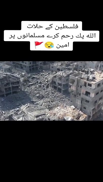 palestine news
