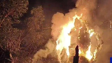 నిర్మల్: అంగరంగ వైభవంగా విజయదశమి వేడుకలు