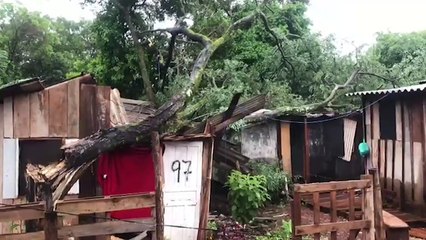 Barraco fica destruído após ser atingido por árvore no Jardim Melissa