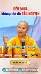 THÍCH NHẬT TỪ: ĐẾN CHÙA KHÔNG CHỈ ĐỂ CẦU NGUYỆN