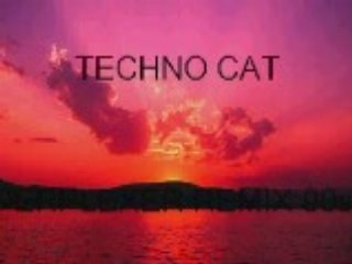techno cat tom wilson perplexer remix  95