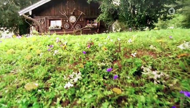 Sturm der Liebe Folge 4131 Vom Schicksal aufgehalten