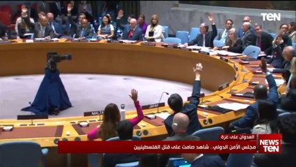 مجلس الأمن الدولي.. شاهد صامت على قتـ /ـل الفلسطنيين