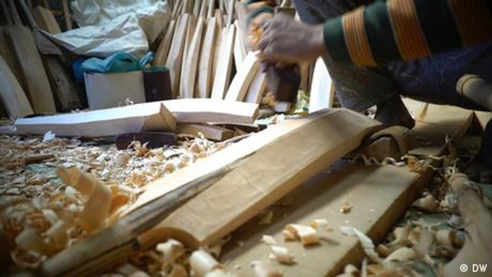 ⁣Kashmir: Are India's willow cricket bats endangered?