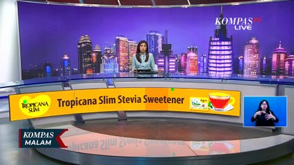 Proses Penyelamatan Harimau Sumatera yang Terjerat Jebakan Babi di Perkebunan Warga