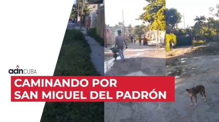 Caminando por San Miguel del Padrón