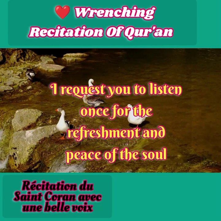 Heart Wrenching Recitation Of Qur'an..! Reciting Of Surah Al-Baqrah..! Amazing Recitation Of Qur'an  |  Heart Touching Reciting Quran |  Coran Récitation...!  Treatment of Problems....! Heart Satisfaction Solutions...! Recitación del Sagrado Corán con her