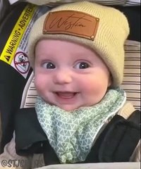 "Hilarious Cat Fails Compilation - Laugh Till You Cry!"