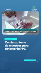 Comienza toma de muestras para detectar la PPC