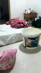 Artistas levados à Turquia por empresário de SC mostram goteiras em casa