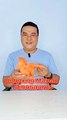 Mainan dino sayap - unboxing mainan dino - review mainan dinosaurus #toys