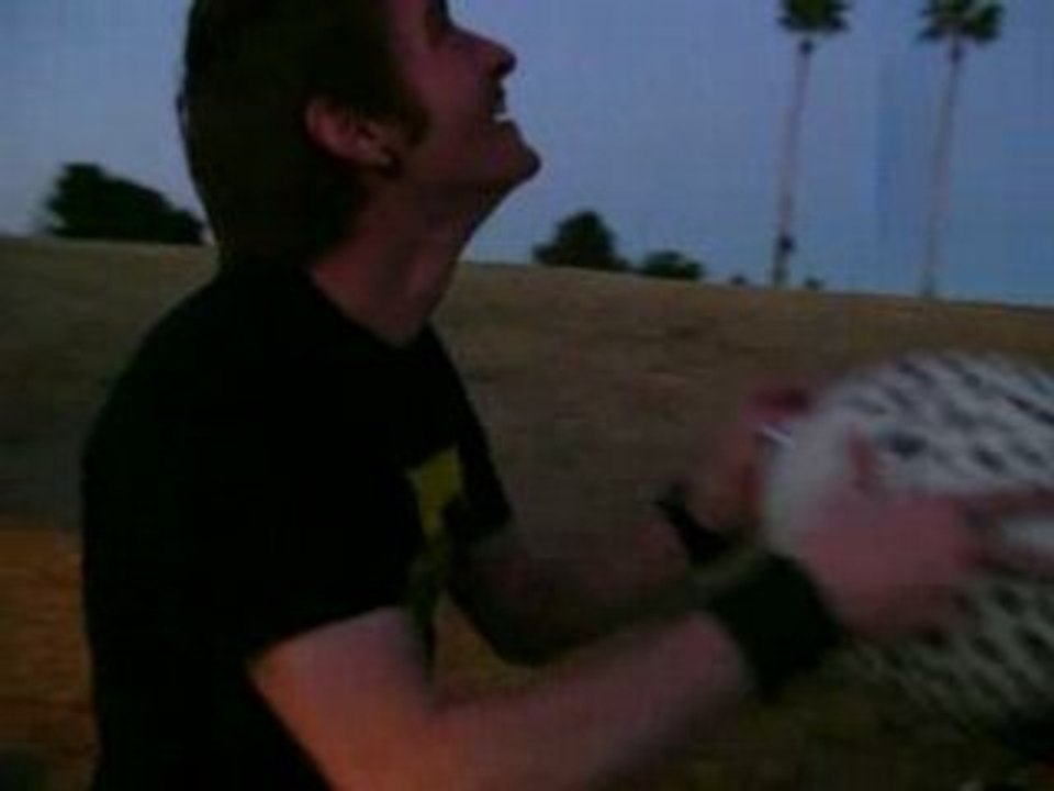 Matt Believes He Can Fly