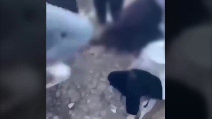 충남 천안서 또래 여학생들 집단 폭행한 초·중학생 20여 명 수사 중 / YTN