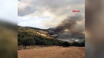 Muğla Seydikemer'de Tarım Arazisinde Yangın Çıktı
