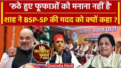 MP Election: 'BJP के रूठों को मनाने की जरूरत नहीं, BSP-SP की मदद करो' | Amit Shah | वनइंडिया हिंदी