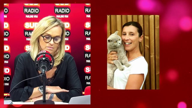 L’hôtel de luxe pour chat Hotel Georges Cat