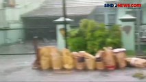 Sejumlah Pohon Tumbang Tutup Jalan Usai Hujan Disertai Angin di Bogor