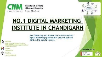 digital marketing institute in chandigarh