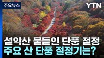 설악 물들인 단풍 절정...주요 산 단풍 절정기는? / YTN