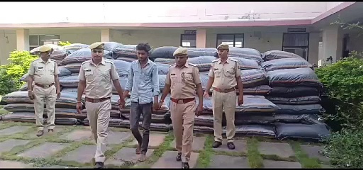 ट्रक के अंदर मक्का में दबाकर रखा 33 क्विंटल डोड...