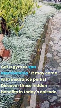 Gym _ Spa Memberships Unveiling Insurance Perks