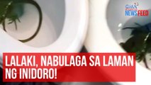 Lalaki, nabulaga sa laman ng inidoro! | GMA Integrated Newsfeed