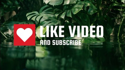 Flute music instrumental relaxation  relegius music