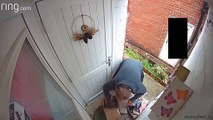 CCTV captures 'porch pirate' swiping hundreds of pounds of goods from Doncaster doorstep