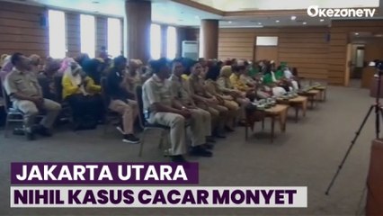 Data Kemenkes, Ada 12 Kasus Cacar Monyet, 6 Ditemukan di DKI Jakarta