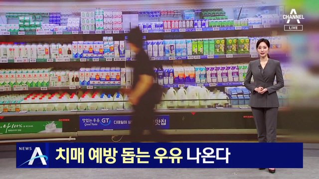 치매 예방 돕는 우유 나온다…‘토종 유산균’ 발견