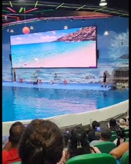 Fishing fun beautiful seen enjoy full time