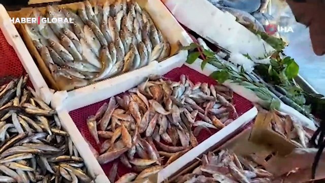 Tezgahlarda hamsi bolluğu! Kilosu 50 liradan alıcı buluyor: Lezzetli ve yağlı durumda