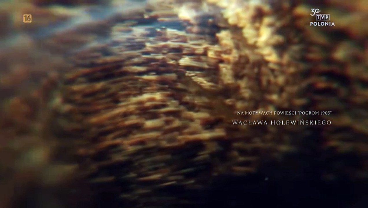 Polowanie na ćmy - czołówka i tyłówka