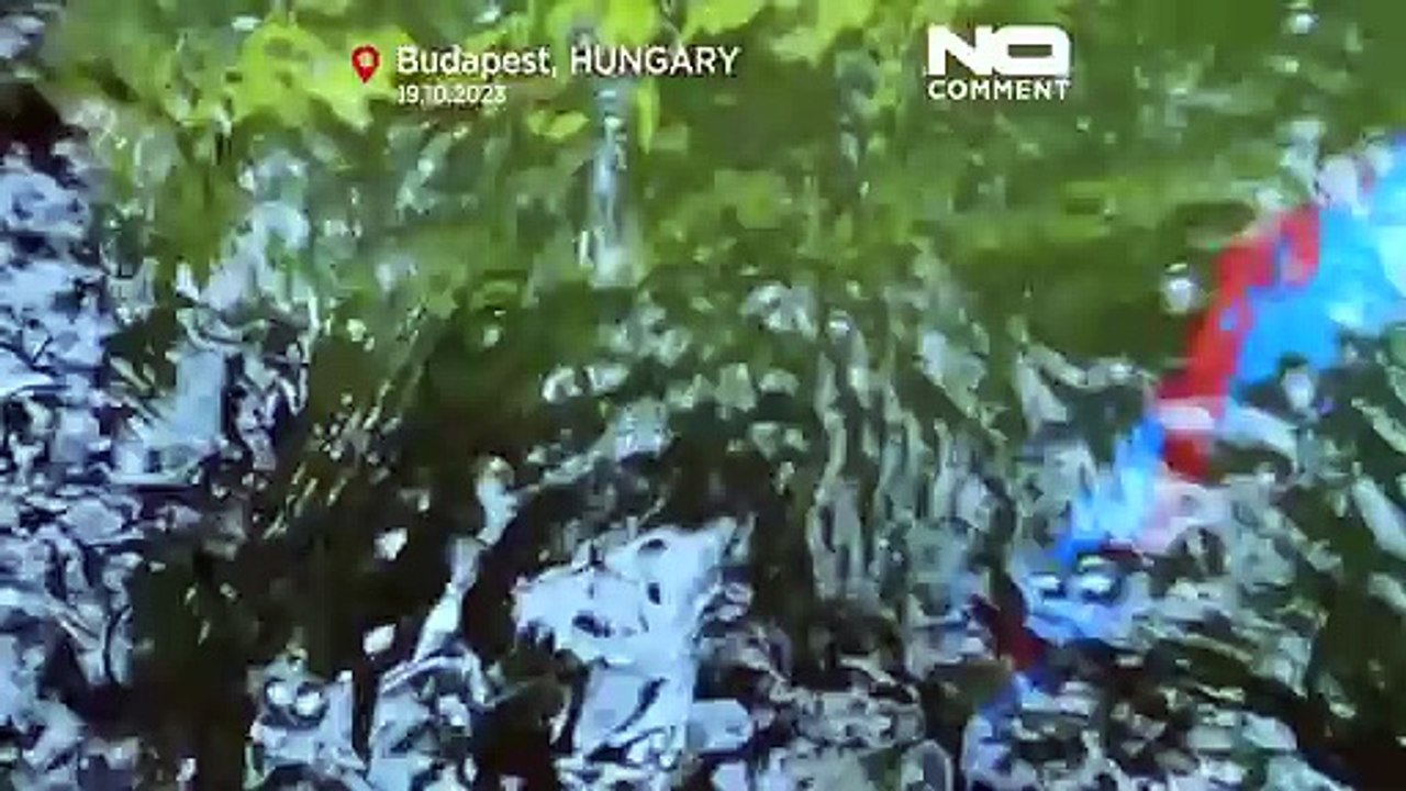 Militärtaucher üben die Unterwasser-Entminung in der Donau
