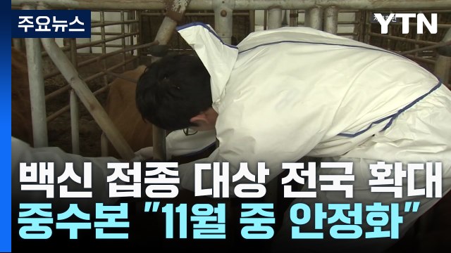 럼피스킨병 백신 400만 마리분 긴급 수혈... 접종, 전국 확대 / YTN