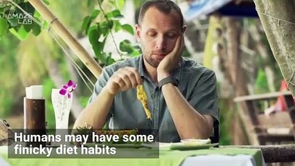 These Are The Strangest Eating Habits Among Animals