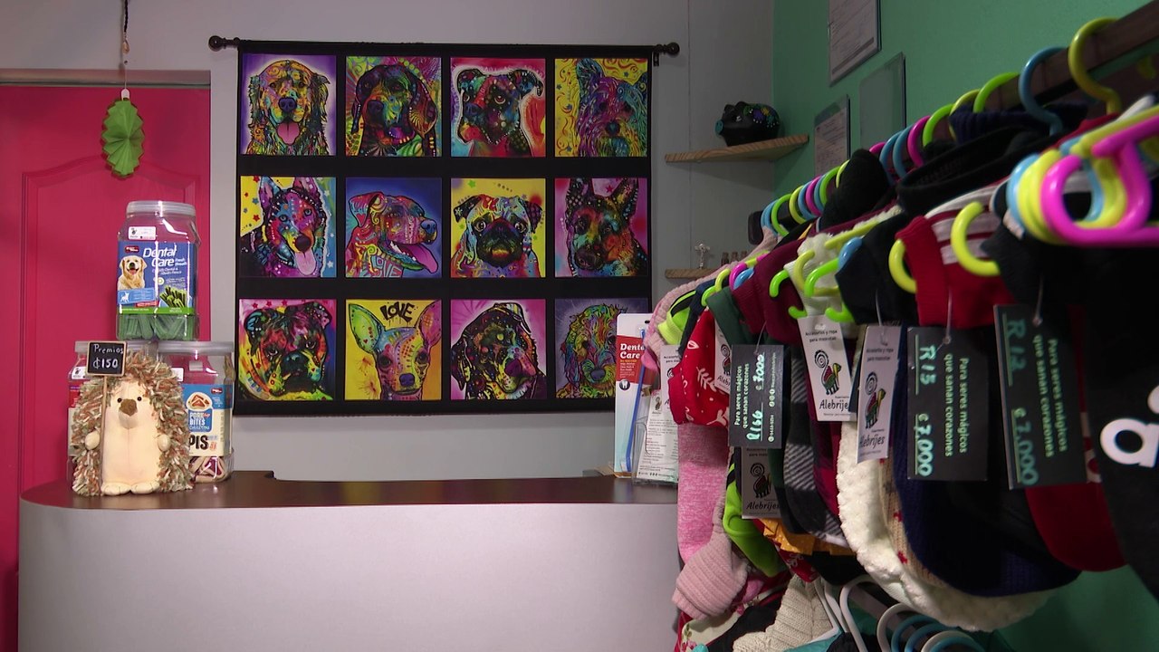 Alebrijes: Spa para perros