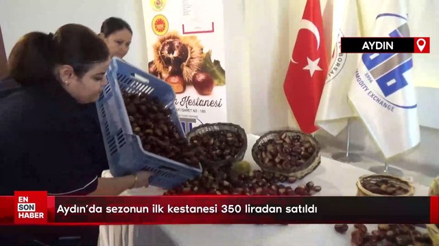 Aydın'da sezonun ilk kestanesi 350 liradan satıldı