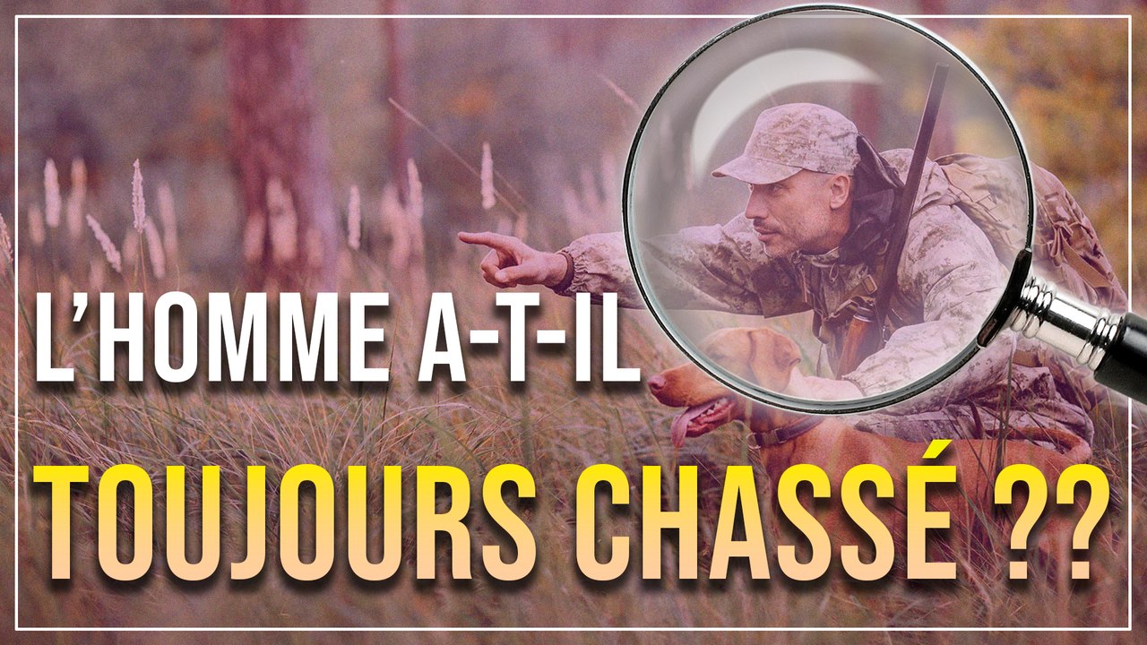 J'ANALYSE : LA CHASSE (#1) - L'Histoire de la chasse en Europe