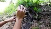 Survival BULLSHARK TRAP - Australia's DEADLIEST Animals (Catch and Cook)