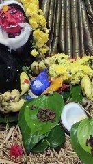 SDDP 2023 Navaratri festival