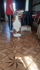 Basset Hound devient un rectangle parfait