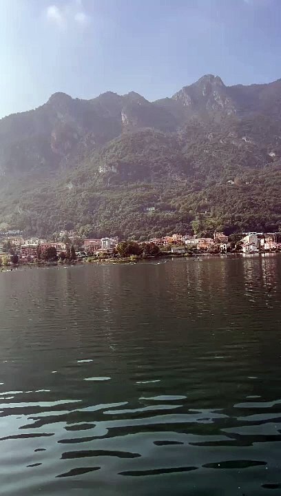 Lombardia, l'invasione dei cormorani. sono 9.500. ''Provocano un danno enorme''