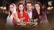 Rang Badlay Zindagi - Episode 08 - 25th October 2023 - [ Nawaal Saeed, Noor Hassan, Omer Shahzad ]