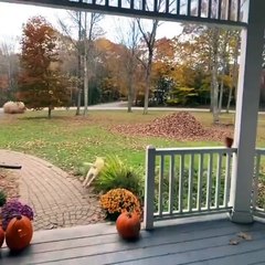 Stella profite pleinement de l’automne !