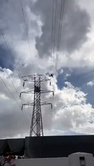 Hombre se subió a una torre de electricidad  tras ser rechazado de un empleo