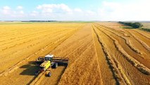 New Holland - Challenger - Gleaner R76 (Show Time - trawinseeds)